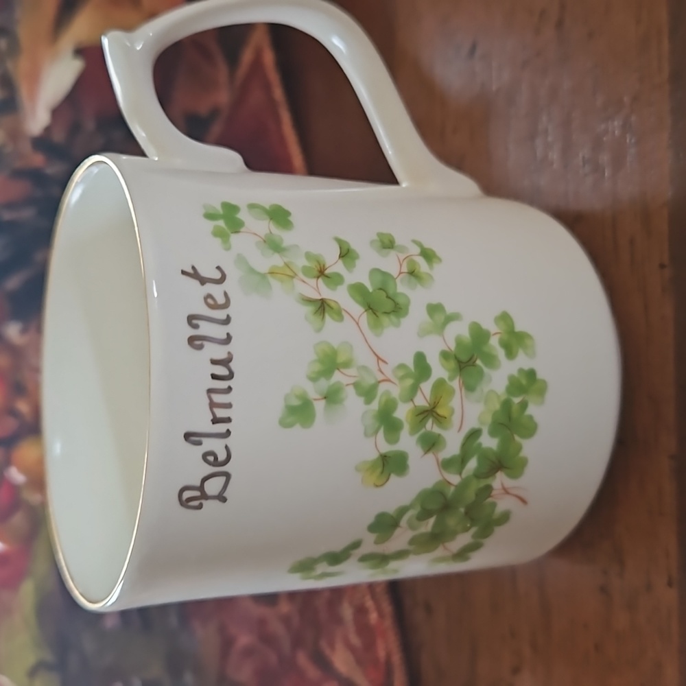 Ballyporeen Fine Bone China Mug